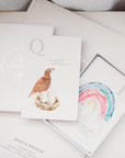 The Amazing ABC Flash Cards
