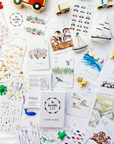 The Incredible 123 Flash Cards