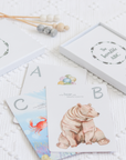 The Incredible ABC Flash Cards