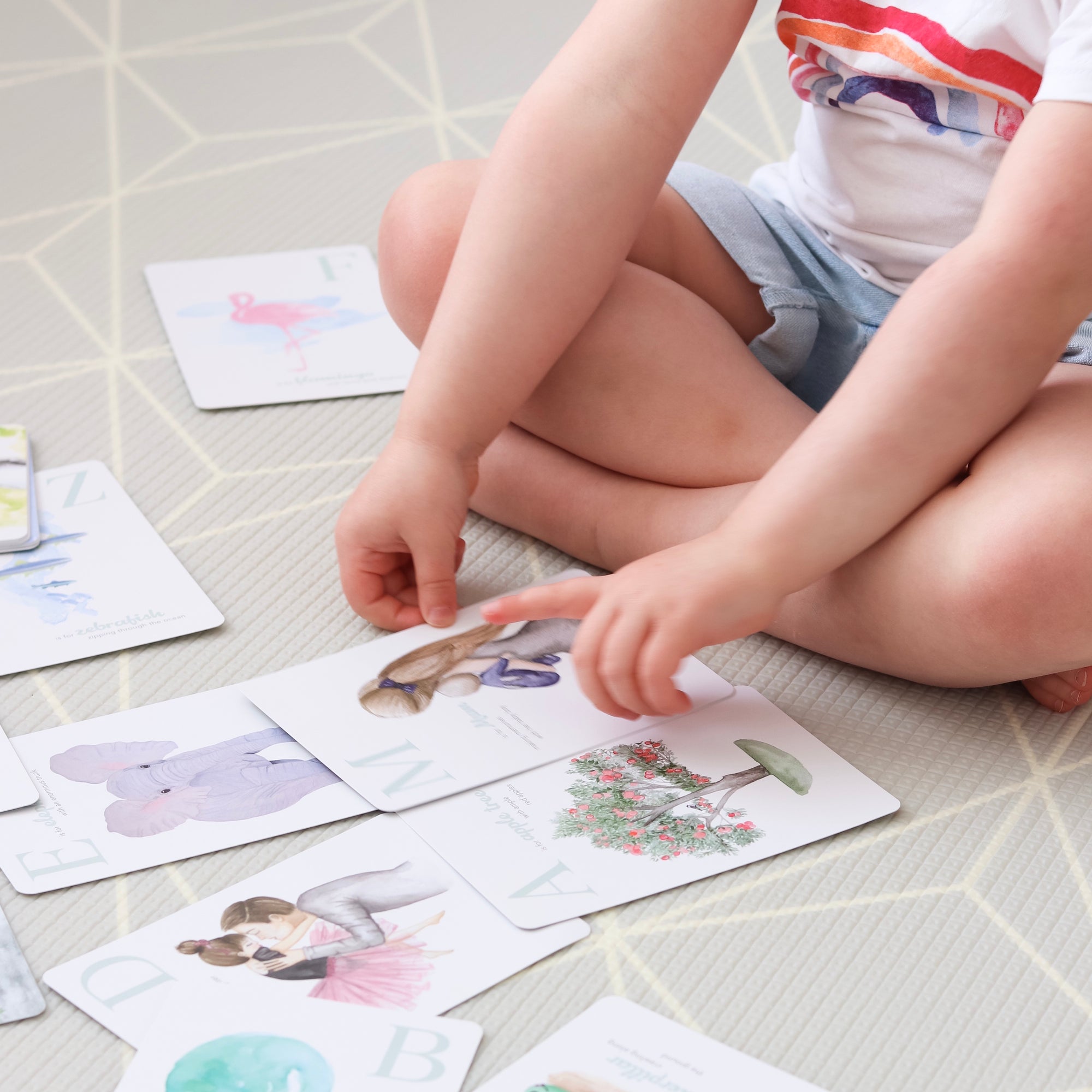 The Amazing ABC Flash Cards - Seconds Sale (Damaged Stock)